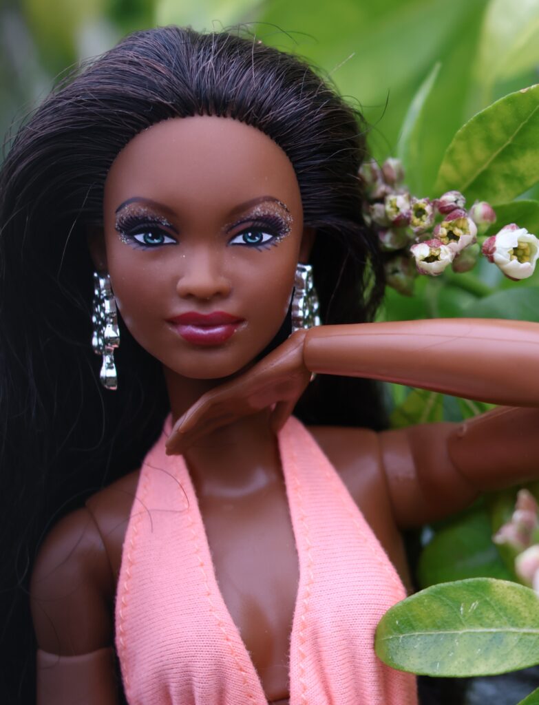 Barbie Holiday 2007 AA Mbili