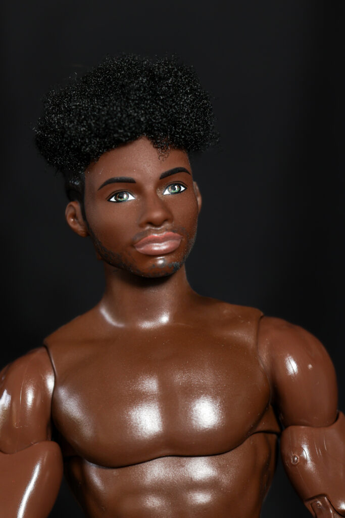 Ken fashionistas