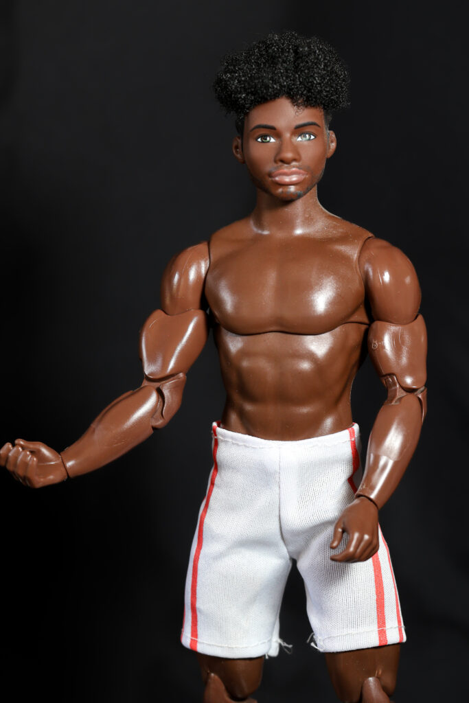 Ken fashionistas