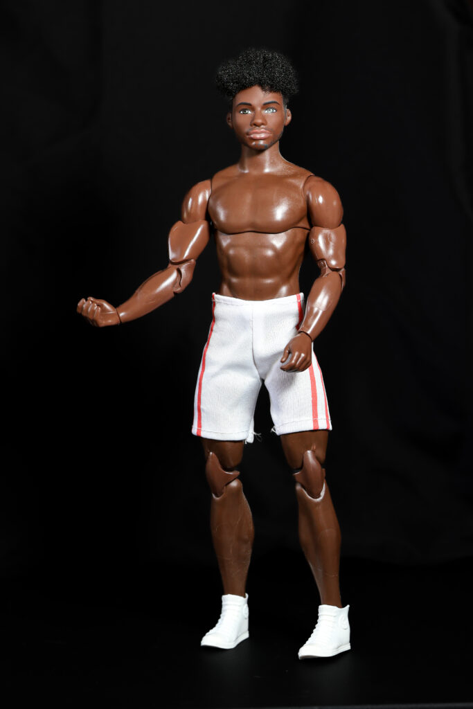 Ken fashionistas