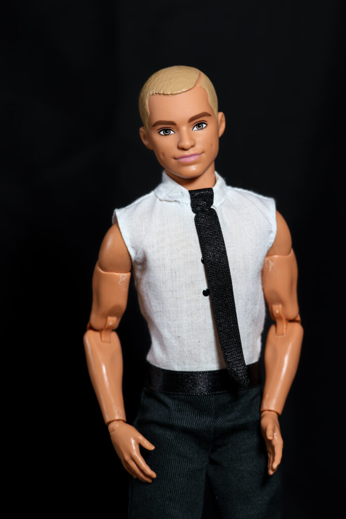  Ken Fashionistas 163