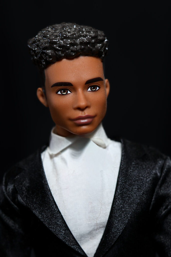 Ken Fashionistas