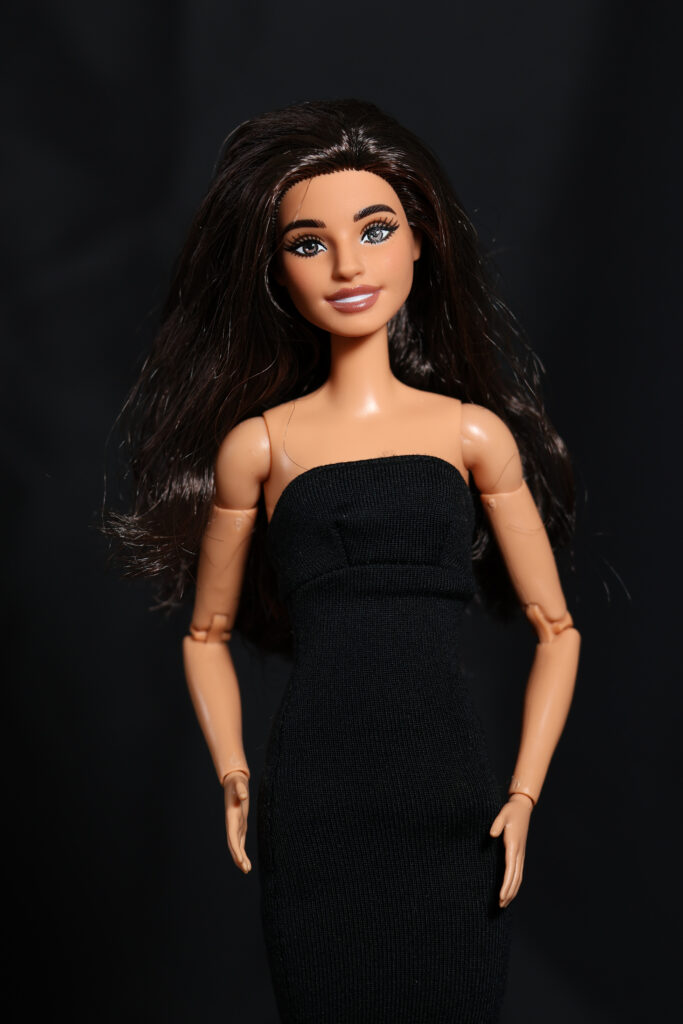 Barbie Fashionistas 234