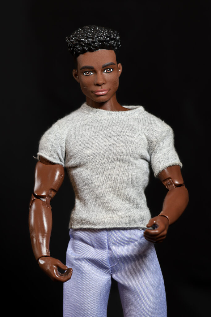 Ken Fashionistas
