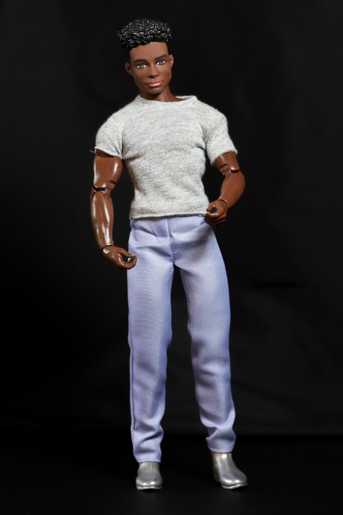 Ken Fashionistas