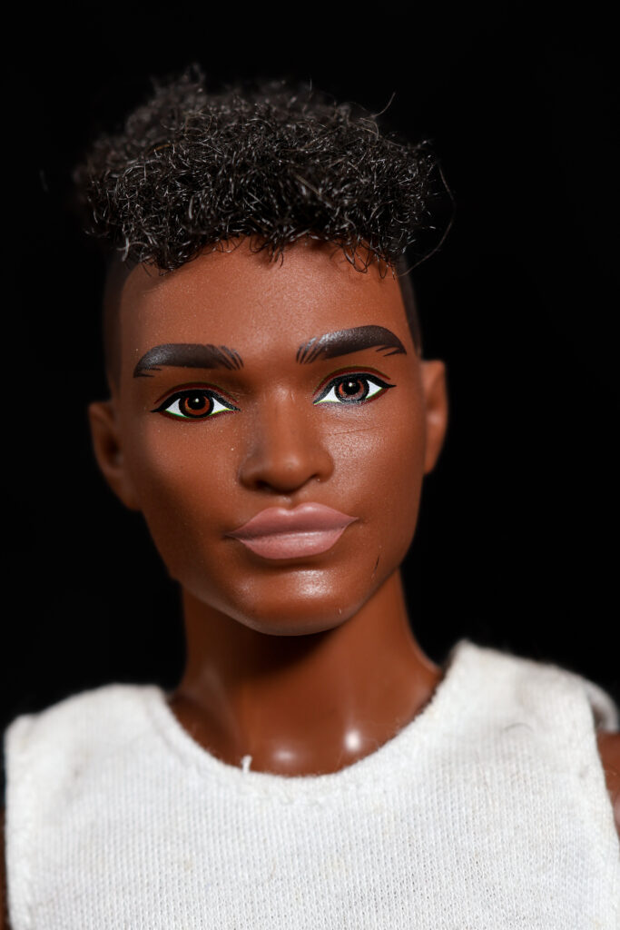 Ken Fashionistas