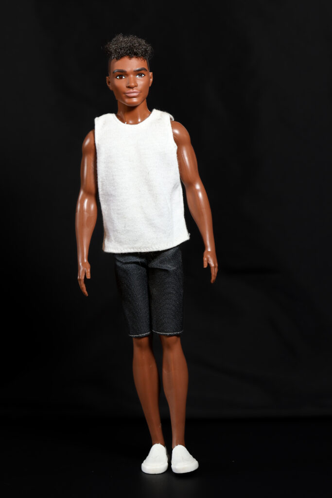 Ken Fashionistas